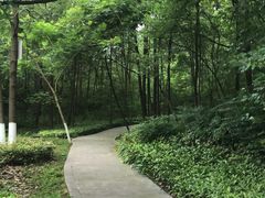 -富乐山