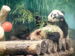 -杭州动物园