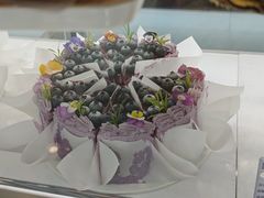 -夏佐CHASEL(横店康庄路店)