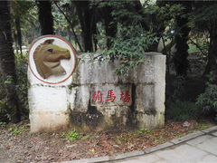 游乐设施-上海共青森林公园