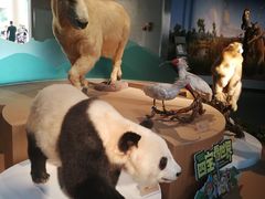 -陕西自然博物馆