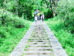 -青龙山国家森林公园