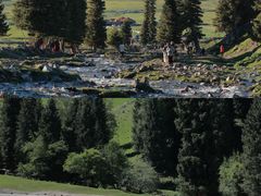 -新疆那拉提国家旅游度假区