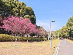 -阳澄湖半岛旅游度假区