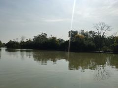 -大湾区中央湿地公园