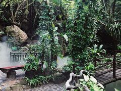 -亚马逊丛林水乐园