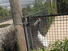 -盐城丹顶鹤湿地生态旅游区