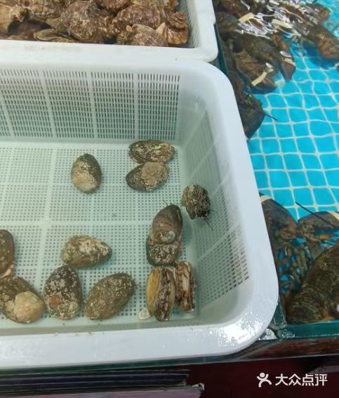 日照旅游‖ 带你了解日照海鲜怎么买