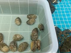 -日照灯塔风景区