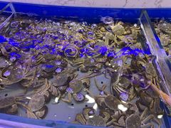 螃蟹-澜悦港海鲜体验主题餐厅
