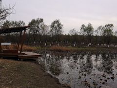 -东郊湿地公园