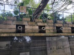 -胡里山炮台
