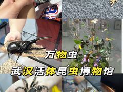 -凯德广场(西城店)