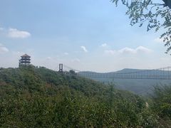 -铜川市金锁关石林