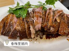 -春梅里卤鹅馆·47年老字号(中山路店)