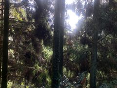 -刘伯温故里景区百丈漈