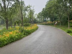 -东郊湿地公园