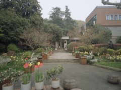 -阿姨奶茶专卖(舌涧道杭州惠民路创始店)