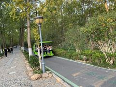 -合肥滨湖国家森林公园