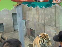 -西安秦岭野生动物园