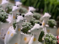 -KKV(深圳宏发大仟里店)