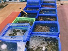 -七鲜渔港美食餐厅(巽寮湾海景店)