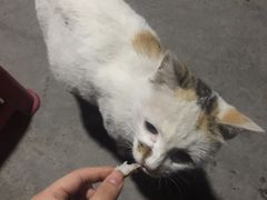 -崔孃烧烤