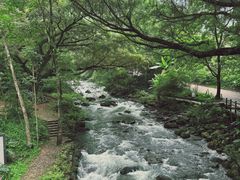 -广州市石门国家森林公园