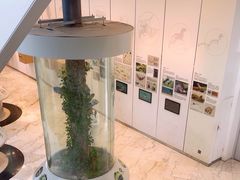 -下渚湖国家湿地公园科普馆