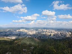 -长虫山生态公园风景林