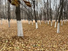 -长春世界雕塑园冰雪艺术天地