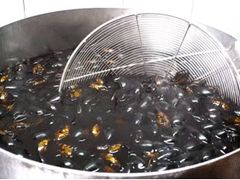 -莫华(锦绣趣园北街店)