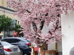 -春天来了(印象新天地店)