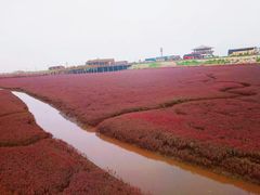 -红海滩国家风景廊道