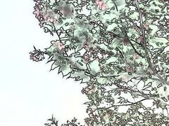 -天适樱花悠乐园