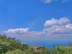 -江西阳明山国家森林公园