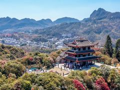 -贵州百里杜鹃风景名胜区