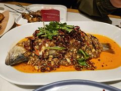 -杨氏青龙虾·羊蝎子(托乐嘉店)