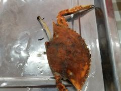 -烁佳海鲜大馅饺子