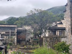 -塔川景区