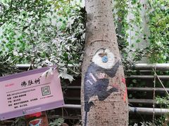 -呀路古热带植物园