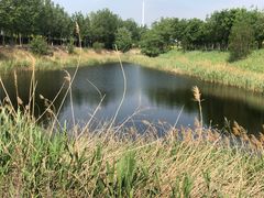 -西青郊野公园