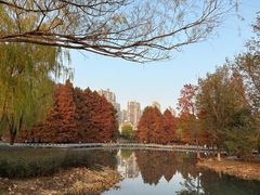 -白塘生态植物园