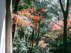 -虎跑公园
