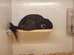 -龙猫仔乐园(惠福东路店)