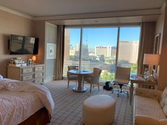 -拉斯维加斯永利酒店