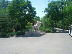 -石家庄市动物园