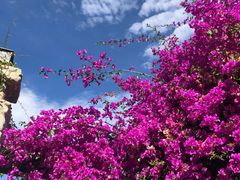 -明月山庄私房菜(环海东路店)