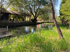 -溱湖国家湿地公园