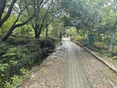 -雨花胜境